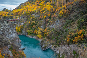 stunning view of turquoise kawarau river and yellow colorful leaves tree on the hill along the river is beautiful landscape of South Island New Zealand 