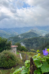Fog in the mountains during cloudy weather in Cantabria, Spain, creating a dramatic and mysterious natural landscape.
