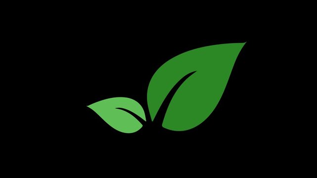 animation of leaves shake blowing by the wind in alpha channel. leaf ornament cartoon. nature