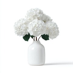 A simple, elegant arrangement of white hydrangeas in a minimalist white vase against a clean white background