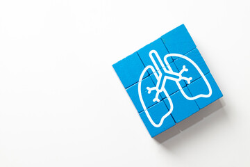 An icon of the lungs on blue wooden blocks. A medical concept for pulmonology, respiratory health, and the human breathing system. A symbol for a medical check-up and care.,copyspace for put text.
