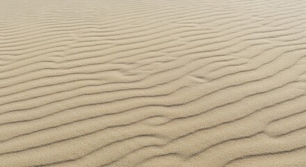 Obraz premium Rhythmic Sand Dunes A Textured Desert Landscape.