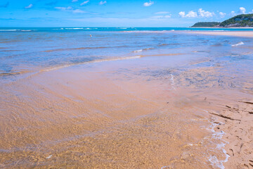 Praia do Espelho, Mirror Beach, famous for its geological formations of sandstone and arkose, natural pools, clear and calm waters, and leaning coconut trees. Caraíva, Bahia, Brazil, 2022