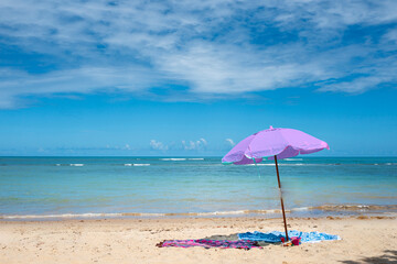 Praia do Espelho, Mirror Beach, famous for its geological formations of sandstone and arkose, natural pools, clear and calm waters, and leaning coconut trees. Caraíva, Bahia, Brazil, 2022
