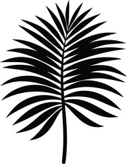 Obraz premium Abstract swirl of vibrant colors evokes cosmic energy and dynamic movement isolated on transparent background