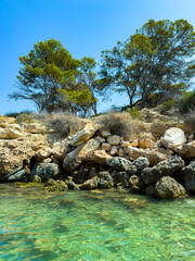 Serene coastal scene with clear turquoise water and rocky shore under bright blue sky in summer