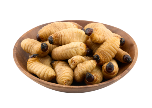 closeup raw pile of Asian red palm weevil larva sago worm cutout in wood bowl