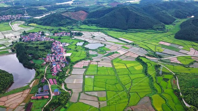 A picturesque rural village surrounded by vibrant patchwork of green rice paddies and lush mountain in China