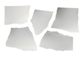 Scattered rough edged white paper scraps pieces isolated on a simple background surface isolated on transparent background