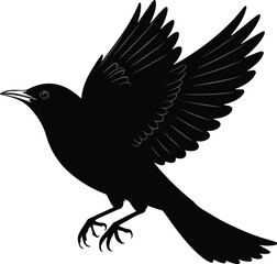 Obraz premium Flying bird silhouette illustration with crow and eagle on white background