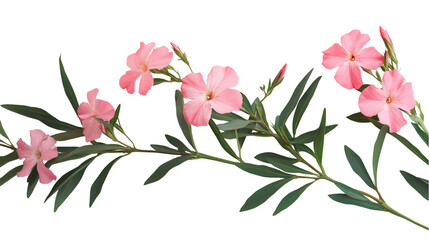 Vibrant pink ice cream splash creative dessert Isolated transparent on white background