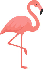vector hand drawn cute pink flaminggo