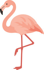 vector hand drawn cute pink flaminggo
