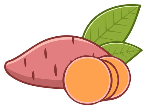 sweet potato with leaves and slices clip art preview