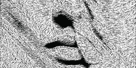 Abstract face and hand hidden in textured fluffy line pattern, black and white vector art.