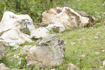 A solitary boulder sits peacefully on the ground, casting intricate shadows that dance with the sunlight. Surrounding it the earth is marked with scattered grass and dirt,