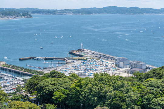 Sailboats sailing near marina and lighthouse on sunny day by forested coast at Enoshima, Kamakura, Kanagawa, Japan