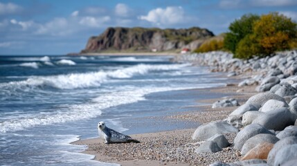 Seal on Rocky Beach with Crashing Waves and Distant Island Under Blue Sky in Daylight
