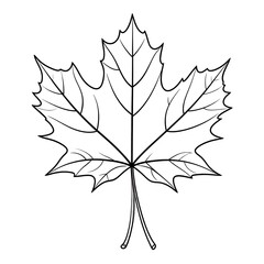 Fototapeta premium Maple Leaf Outline for Coloring