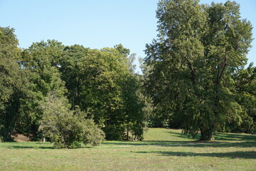 Sonnige Herbstlandschaft im Gutspark Neukladow in Berlin