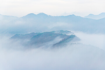 봉화의 안개 낀 산길과 범바위