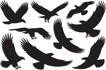 Obraz premium Cute vector set of different Owl birds illustration