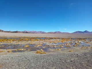 Laguna Grande y flamencos