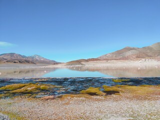 Laguna Grande y flamencos
