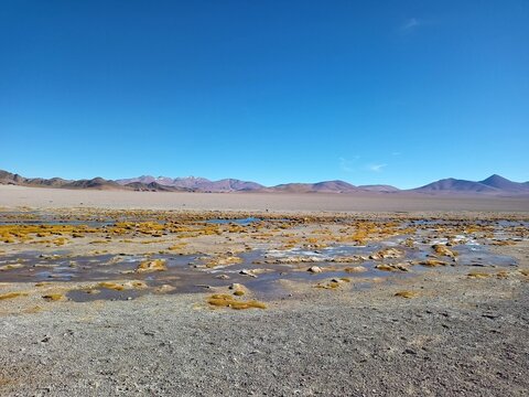 Laguna Grande y flamencos