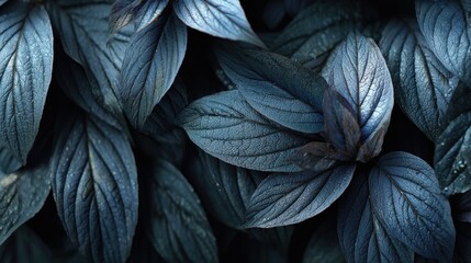 Captivating dark blue leaves with intricate vein patterns create a moody, natural backdrop for serene design projects