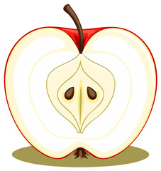 Red apple cut in half showing the core and seeds a healthy and fresh fruit illustration perfect for diet concepts