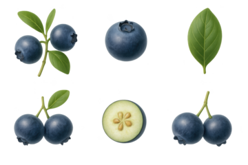 Farkleberry set with whole, halved, and paired fruits plus leaves, perfect for botanical illustration, food design, and digital clipart.