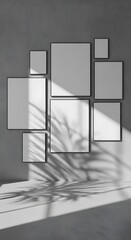 A collection of empty picture frames arranged artfully on a textured gray wall with dramatic shadows cast by unseen foliage.