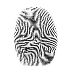 Vector illustration of fingerprint with whorl pattern