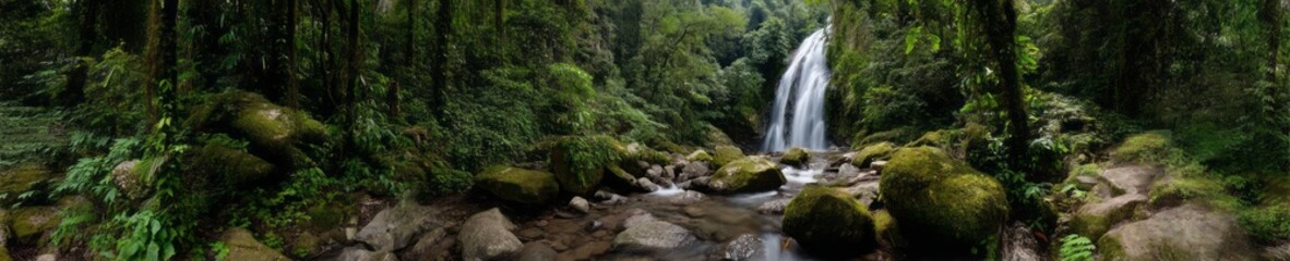 Fototapeta premium Lush rainforest waterfall hdri panoramic view tropical paradise scenic beauty nature 360-degree landscape