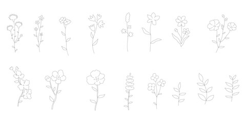 flower set in hand drawn style, decorative botanical illustration