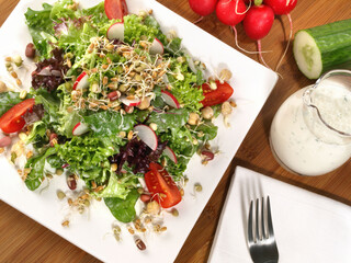 Fresh Mixed Salad with Sprouts and Yogurt Dressing