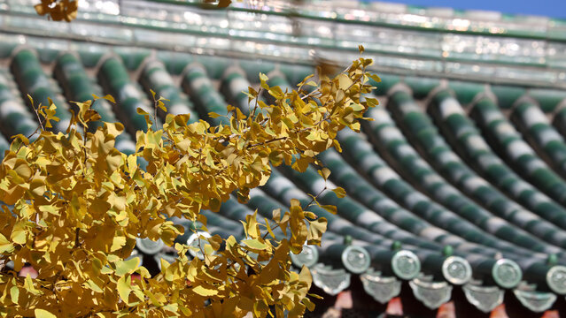 close up of a drill bit