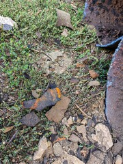 Small industrial fragments and ground debris showing decay and waste material representing recycling and industrial renewal needs.