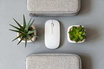 Minimalist workspace setup with wireless mouse, succulent plants, and fabric cases on a gray surface