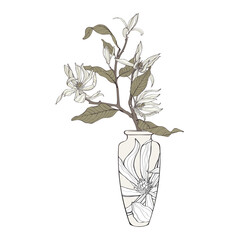 Hand drawn vases. Magnolia flowers branch line art. Clip art flower arrangement in vase. Minimalist illustration.