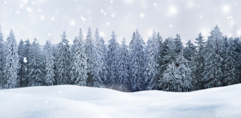 Winterliche Weihnachtsstimmung mit Schnee und Weihnachtsbaum