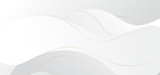 Abstract luxury white and grey wave shape with gold stripes lines background.