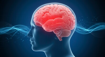 x-default Human Brain Concept