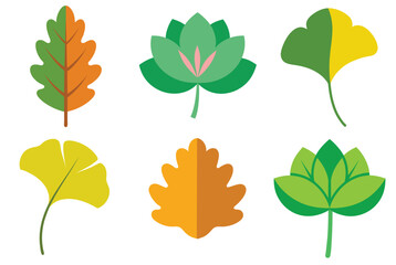 Vector illustration  autumn leaves
