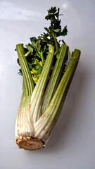 Celery stalk on white background