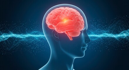 Obraz premium x-default Brain Activity Visualization
