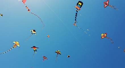 Vibrant kites soar against a clear blue sky on a sunny day