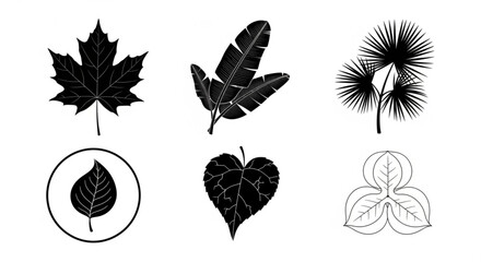 Collection of six distinct leaf illustrations in black and white showcasing diverse botanical shapes