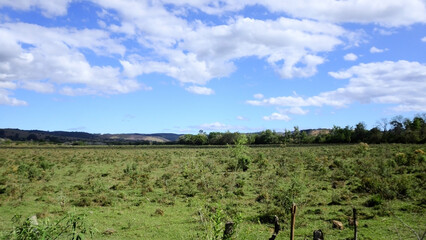 Sunny afternoon in the countryside of the city of Taubaté, in the interior of São Paulo